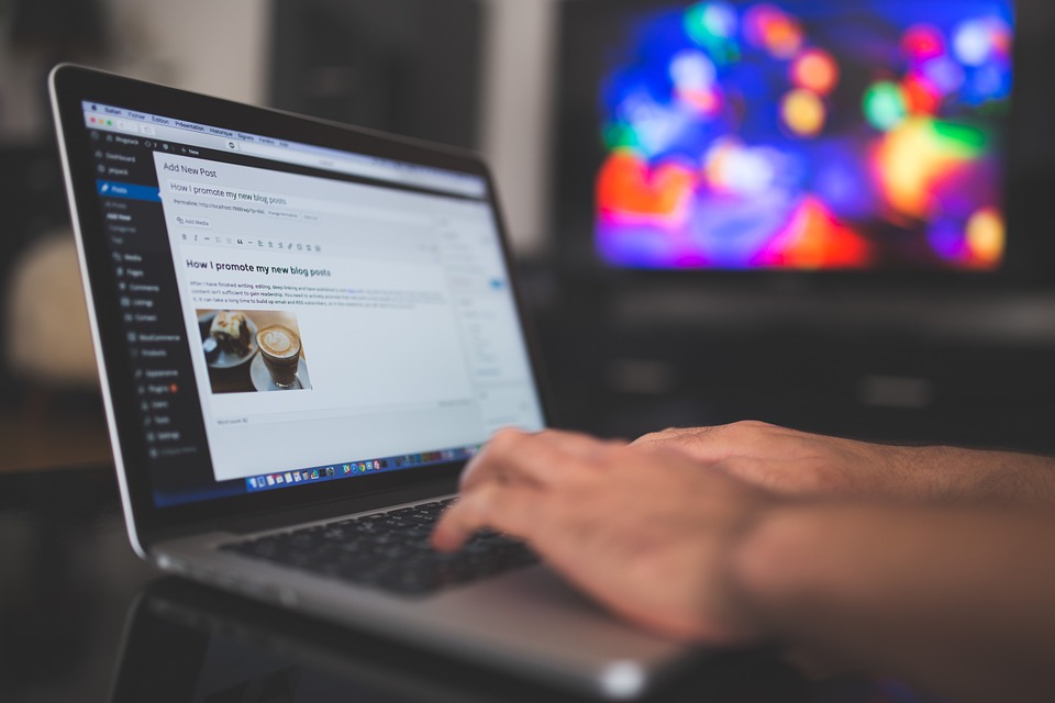 サイト・ブログで集客するための基礎知識を解説!ワードプレスをオススメする理由?